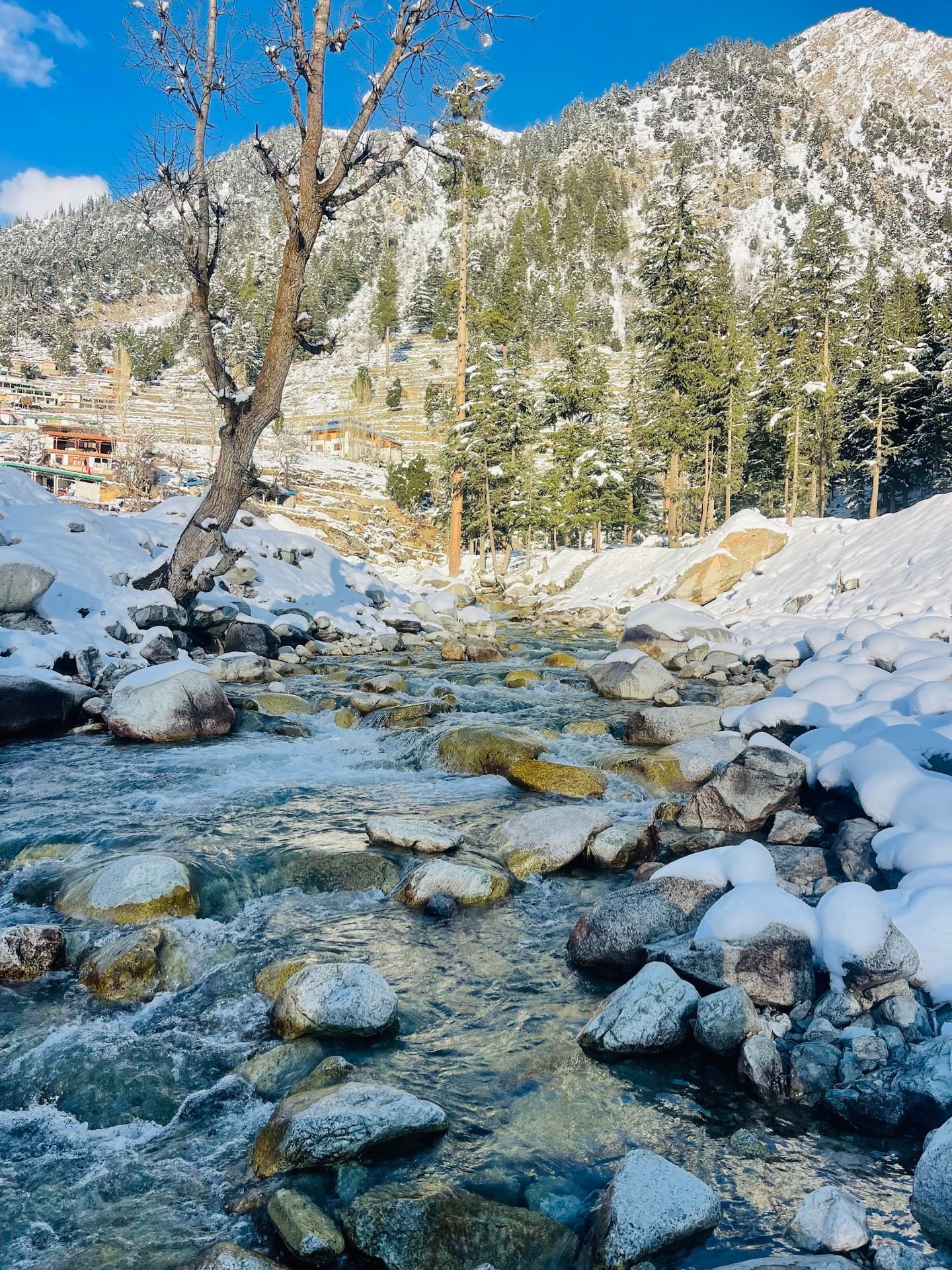 Swat scenery